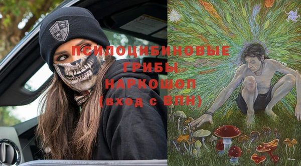 дживик Гусь-Хрустальный