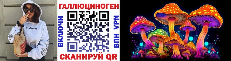 Псилоцибиновые грибы Psilocybine cubensis  Выборг 