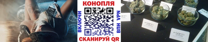 Каннабис индика  где купить   hydra ТОР  Выборг 